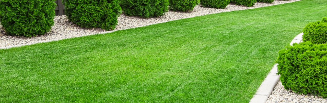 Conserve Water and Reduce the use of Chemicals With Artificial Turf